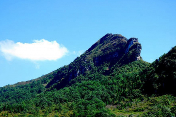 Núi Hàm Rồng. Từ đây có thể ngắm toàn cảnh thị trấn Sapa.